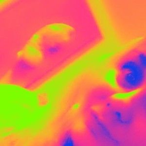 Meet your Posher, Sean